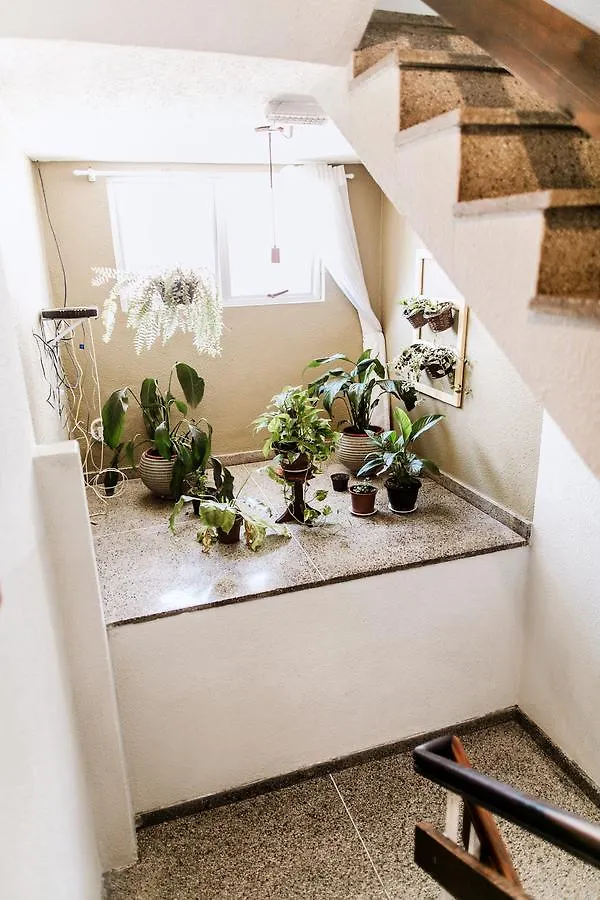 Hotel Oasis Флорианополис